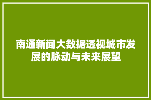 南通新闻大数据透视城市发展的脉动与未来展望