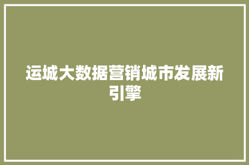 运城大数据营销城市发展新引擎
