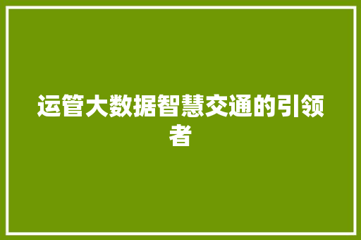 运管大数据智慧交通的引领者