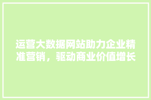 运营大数据网站助力企业精准营销，驱动商业价值增长  第1张