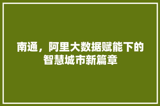 南通，阿里大数据赋能下的智慧城市新篇章
