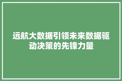 远航大数据引领未来数据驱动决策的先锋力量