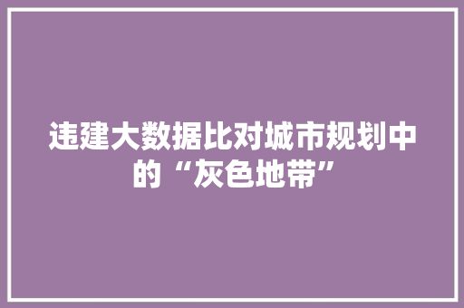 违建大数据比对城市规划中的“灰色地带”  第1张