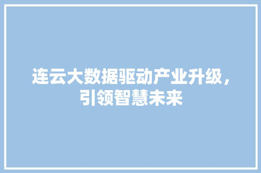 连云大数据驱动产业升级，引领智慧未来