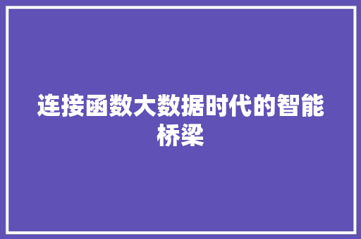 连接函数大数据时代的智能桥梁