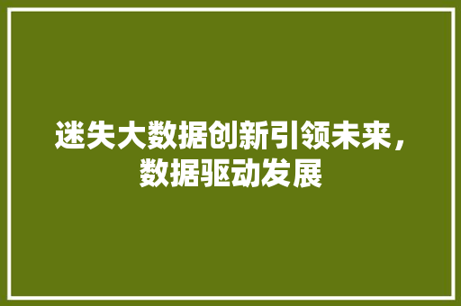 迷失大数据创新引领未来，数据驱动发展  第1张