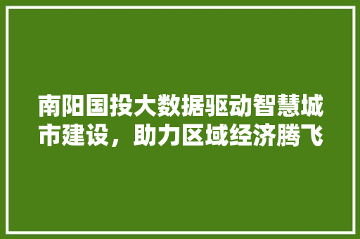 南阳国投大数据驱动智慧城市建设，助力区域经济腾飞  第1张