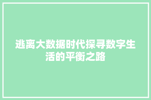 逃离大数据时代探寻数字生活的平衡之路