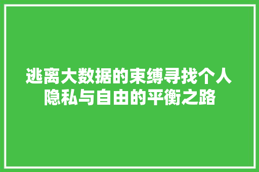 逃离大数据的束缚寻找个人隐私与自由的平衡之路