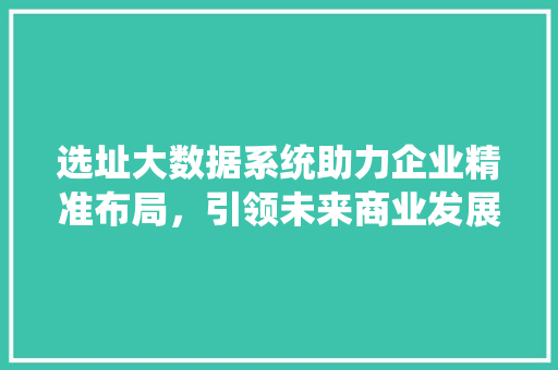 选址大数据系统助力企业精准布局，引领未来商业发展
