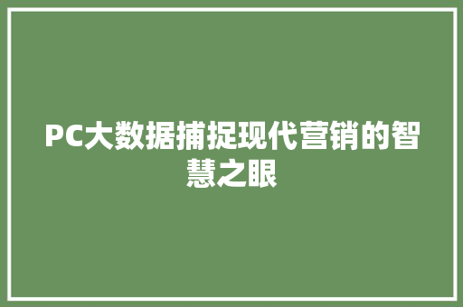 PC大数据捕捉现代营销的智慧之眼