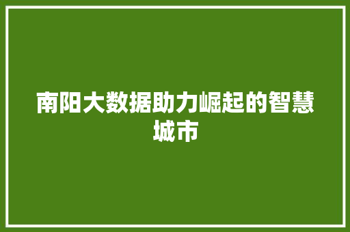南阳大数据助力崛起的智慧城市  第1张