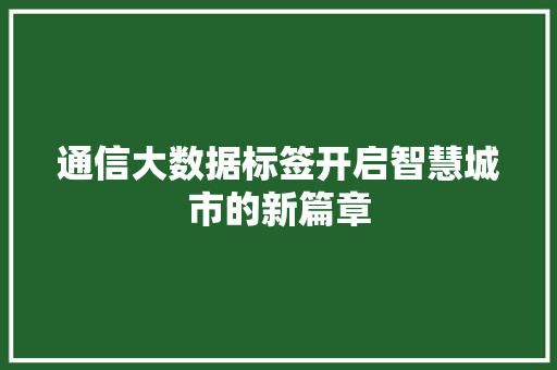 通信大数据标签开启智慧城市的新篇章