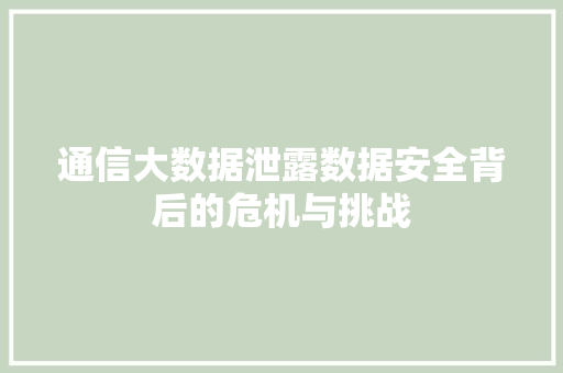 通信大数据泄露数据安全背后的危机与挑战