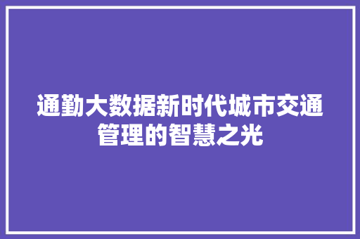 通勤大数据新时代城市交通管理的智慧之光