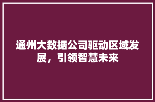 通州大数据公司驱动区域发展，引领智慧未来