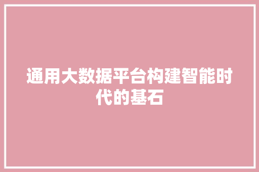 通用大数据平台构建智能时代的基石