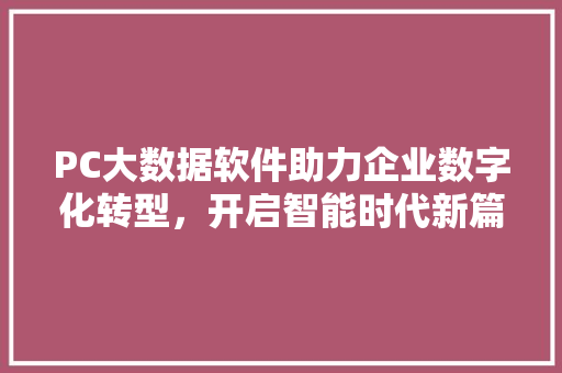 PC大数据软件助力企业数字化转型，开启智能时代新篇章