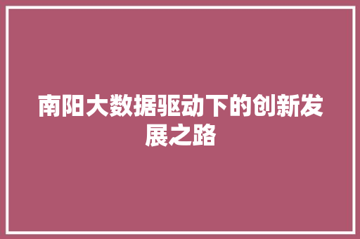 南阳大数据驱动下的创新发展之路