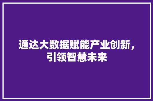 通达大数据赋能产业创新，引领智慧未来