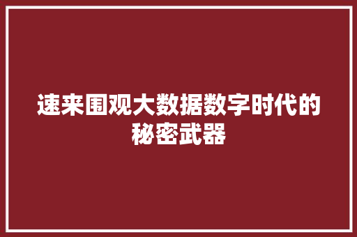 速来围观大数据数字时代的秘密武器