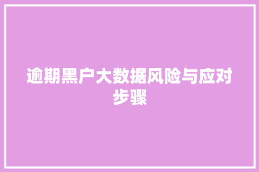 逾期黑户大数据风险与应对步骤