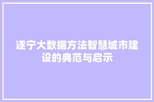遂宁大数据方法智慧城市建设的典范与启示