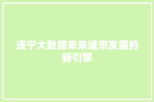 遂宁大数据未来城市发展的新引擎