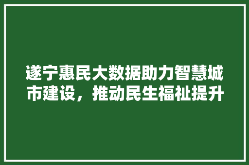遂宁惠民大数据助力智慧城市建设，推动民生福祉提升