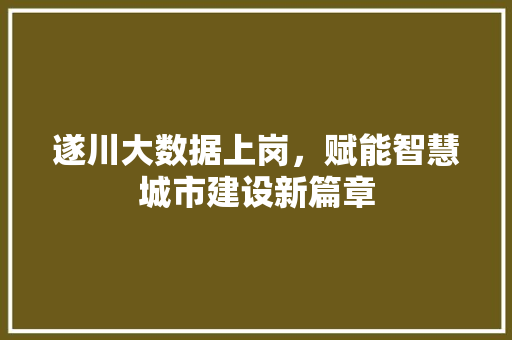 遂川大数据上岗，赋能智慧城市建设新篇章  第1张