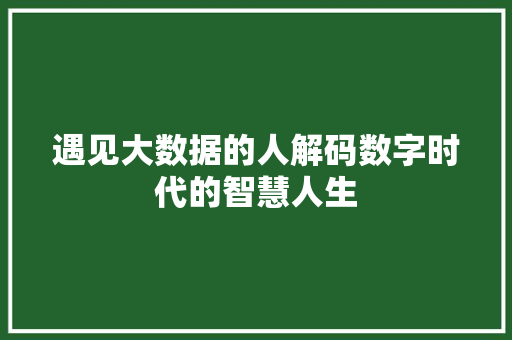遇见大数据的人解码数字时代的智慧人生  第1张