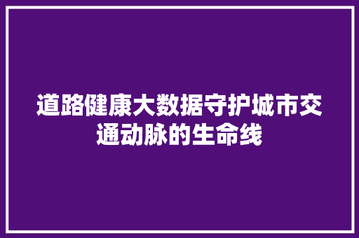 道路健康大数据守护城市交通动脉的生命线