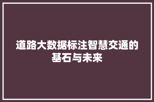 道路大数据标注智慧交通的基石与未来