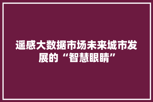遥感大数据市场未来城市发展的“智慧眼睛”  第1张