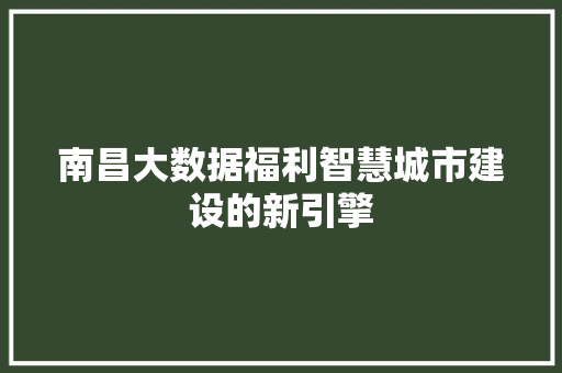 南昌大数据福利智慧城市建设的新引擎