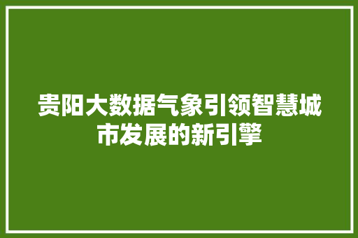 贵阳大数据气象引领智慧城市发展的新引擎