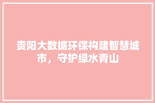 贵阳大数据环保构建智慧城市，守护绿水青山