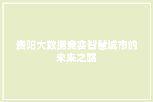 贵阳大数据竞赛智慧城市的未来之路