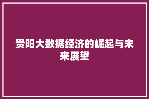 贵阳大数据经济的崛起与未来展望  第1张