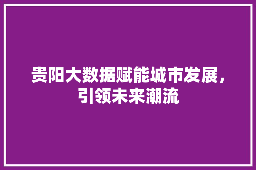 贵阳大数据赋能城市发展，引领未来潮流  第1张