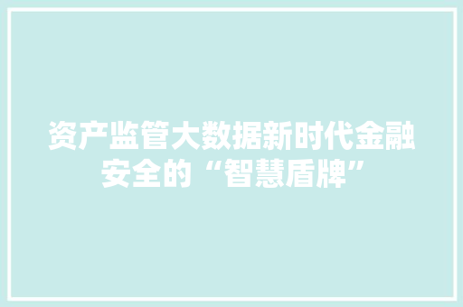 资产监管大数据新时代金融安全的“智慧盾牌”