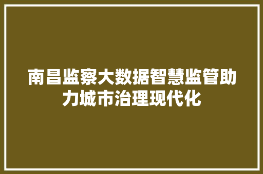南昌监察大数据智慧监管助力城市治理现代化  第1张