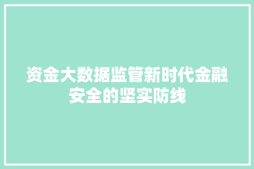 资金大数据监管新时代金融安全的坚实防线