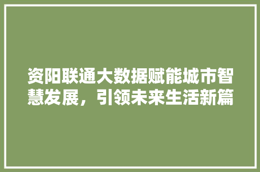 资阳联通大数据赋能城市智慧发展，引领未来生活新篇章  第1张