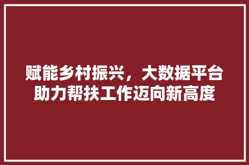 赋能乡村振兴，大数据平台助力帮扶工作迈向新高度  第1张
