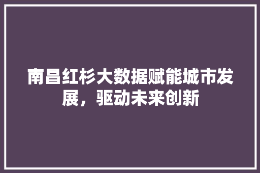 南昌红杉大数据赋能城市发展，驱动未来创新