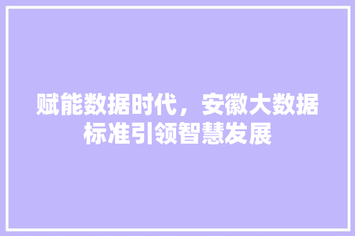 赋能数据时代，安徽大数据标准引领智慧发展