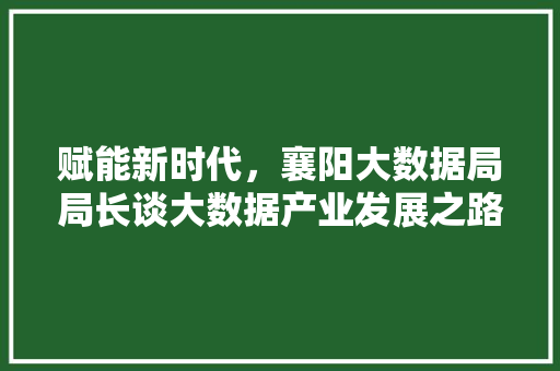 赋能新时代，襄阳大数据局局长谈大数据产业发展之路