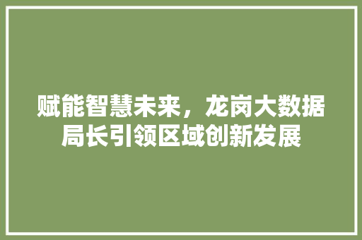 赋能智慧未来，龙岗大数据局长引领区域创新发展