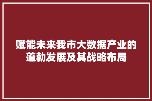赋能未来我市大数据产业的蓬勃发展及其战略布局  第1张